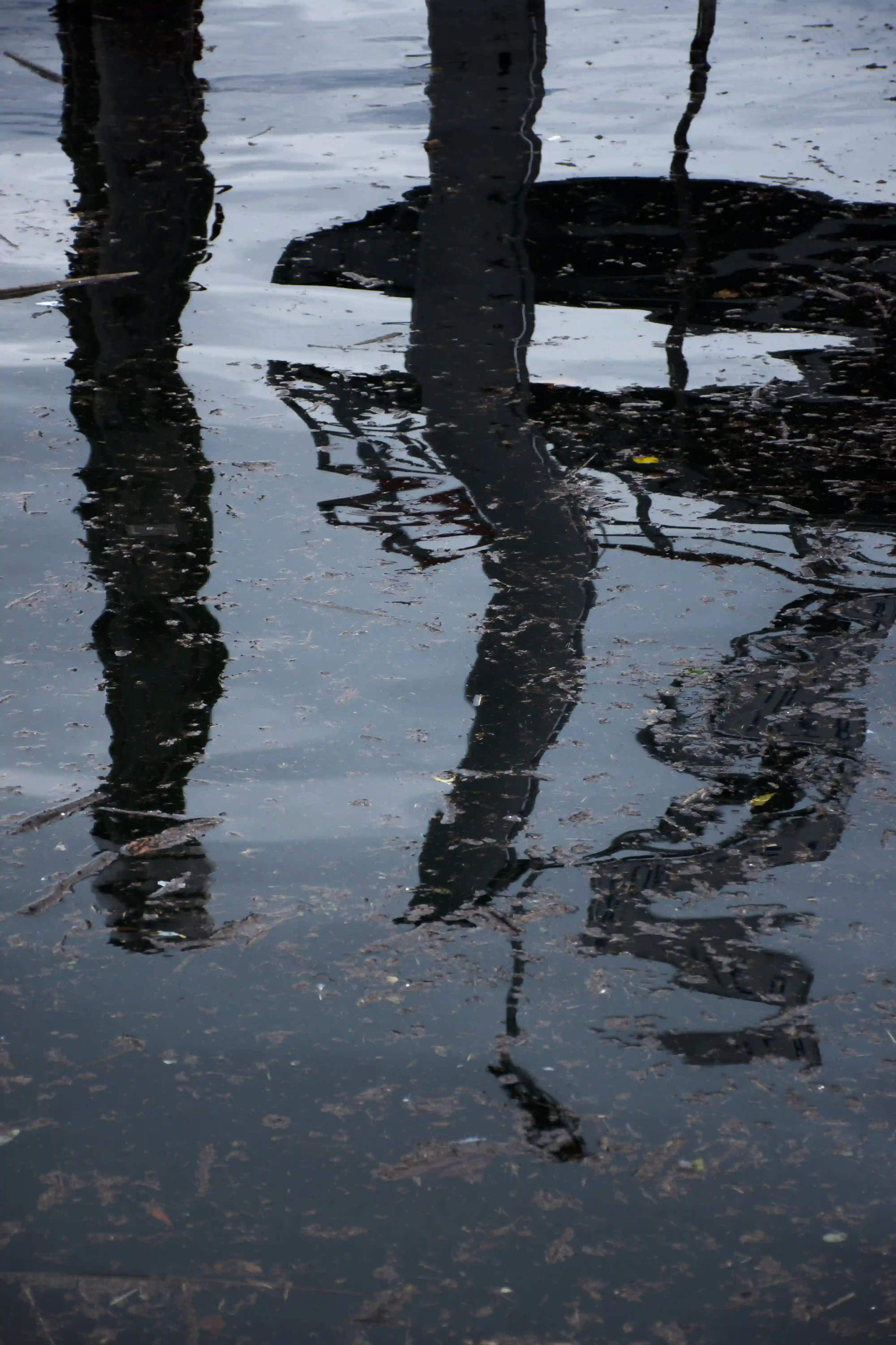 Scatto della serie fotografica 'Flood' a Locarno: l'architettura cittadina immersa nell'acqua, un'analisi del cambiamento del paesaggio dovuto all'esondazione del lago